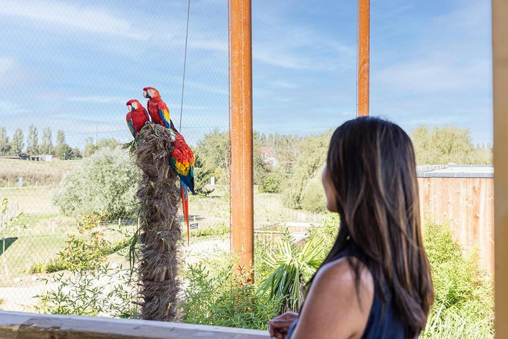 Crecy-la-Chapelle Parrot World - Les Lodges מראה חיצוני תמונה