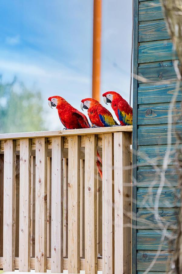 Crecy-la-Chapelle Parrot World - Les Lodges מראה חיצוני תמונה