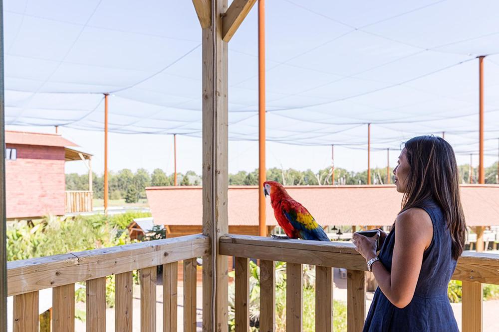 Crecy-la-Chapelle Parrot World - Les Lodges מראה חיצוני תמונה